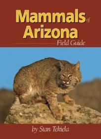 Birds of Arizona Field Guide
