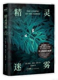 精灵宝钻