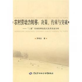 婚育新风进万家的理论与实践:惠东模式研究