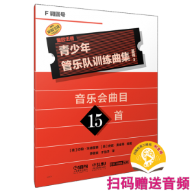 青少年心理辅导方略 大夏书系