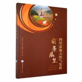 四川省普通高校大学生英文写作案例分析