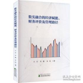 数实融合发展：理论与实践