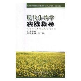 小学语文同步写字课课练（2年级上册）（人教版）