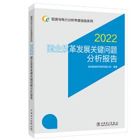 能源与电力分析年度报告系列 2021 国企改革发展关键问题分析报告