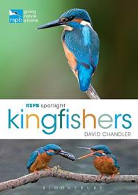 RSPB Birds of Britain & Europe 