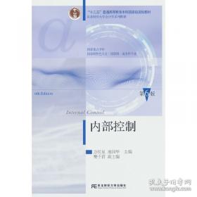 内部审计实务标准