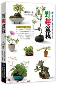 小自然：盆栽大师的无盆小品植栽