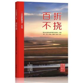 山东黄河水文志（1991-2015）