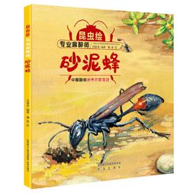 昆虫绘 螳螂(这里揭示的是螳螂的真实生活，这里有螳螂之间的斗智斗勇，还有雌螂产子的贴心、幼螂成长的艰辛。)