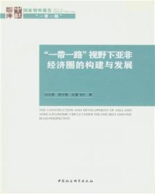 中国海外投资国家风险评级报告2015/国家智库报告2015(4)
