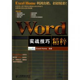 Excel应用大全：Excel Home技术专家团队又一力作