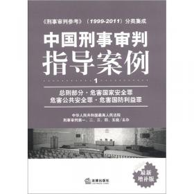 中国刑事审判指导案例（3）：侵犯公民人身权利、民主权利罪（最新增补版）