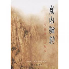 嵩山论剑：少林禅武医探秘