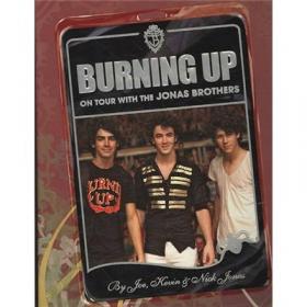 Burning Your Boats：Collected Stories