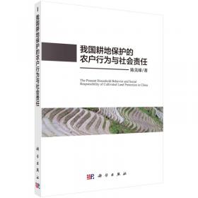 中国农村城镇化进程中的土地配置研究