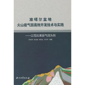 准噶尔盆地油气勘探开发系列丛书：准噶尔盆地南缘侏罗系地质剖面图集