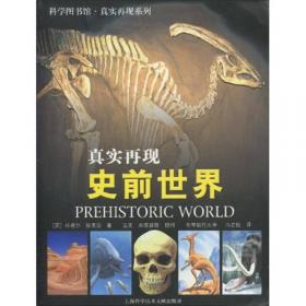 环球探索探秘百科 恐龙时代