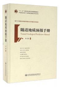 中国隧道及地下工程修建关键技术研究书系：运营隧道管养指南