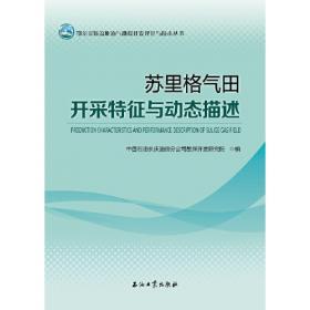 苏里格南国际合作区气田开发技术