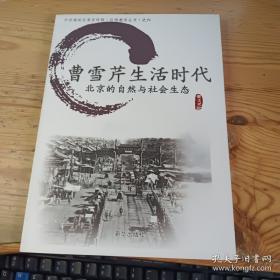 曹雪芹传