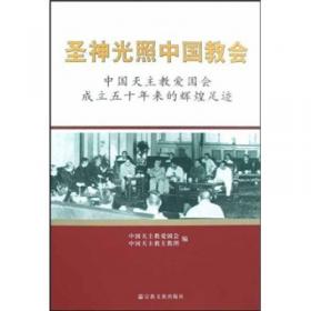 中国天主教本地化神学论集 