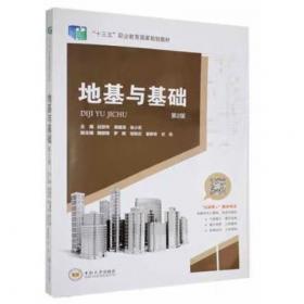 地基基础理论与实践新进展:中国建筑学会地基基础分会2002年学术年会论文集