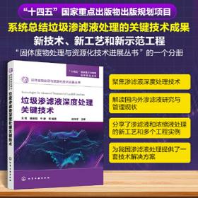 固体充填回收房式开采遗留煤柱理论与方法