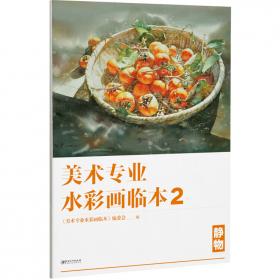 美术文献:丛书.1995年第2辑(总第4辑).中国女画家专辑