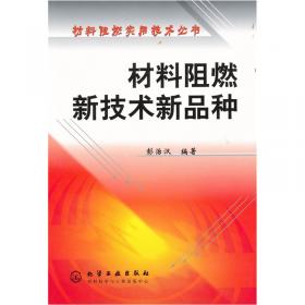 塑料工业手册(聚酰胺)(精)