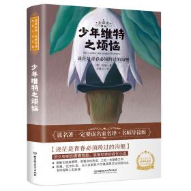 2021版全译本少年维特的烦恼插图版歌德金质奖章获得者、翻译文化终身成就奖得主杨武能翻译