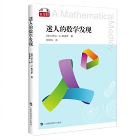 迷人的数学谜题之书（共5册）