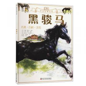 黑骏马-世界优秀动物小说选