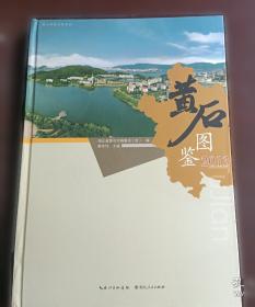 湖北卫生年鉴. 2013卷