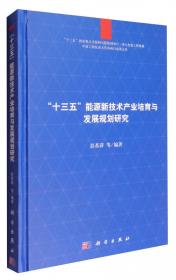 氢能与储能导论 中国科协碳达峰碳中和系列丛书