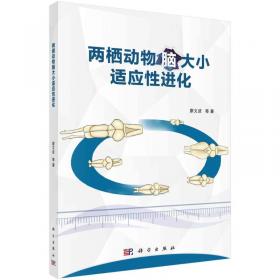 两栖战：战略·战术·战例