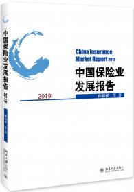 中国保险市场热点问题评析（2005-2006）
