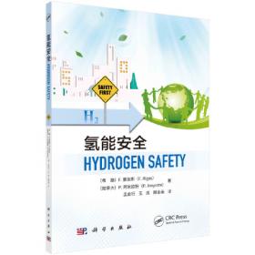 氢能与储能导论 中国科协碳达峰碳中和系列丛书