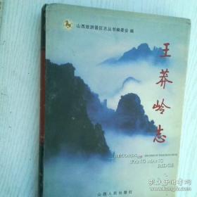 王莽：儒家理想的信徒