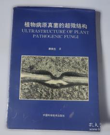 植物精油养生