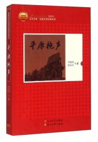 朝内166人文文库·中国当代长篇小说：平原枪声