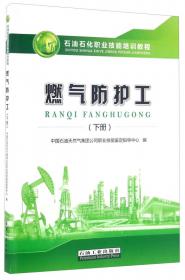 石油钻井工（下册）/石油石化职业技能培训教程