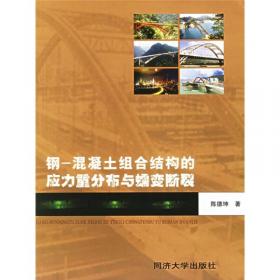 钢-混凝土组合桥梁设计规范 GB 50917-2013