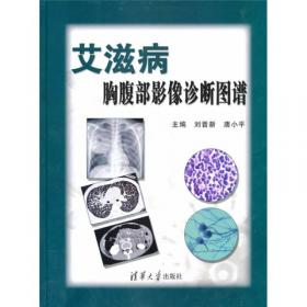 现代影像医学丛书：艾滋病胸腹部影像诊断图谱（第2版）
