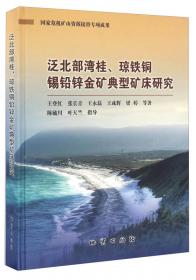 南岭东段九龙脑矿田成矿规律与深部找矿示范