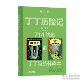 丁丁历险记·独角兽号的秘密