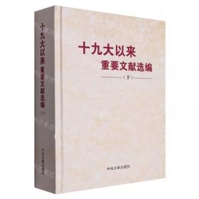 十九世纪中国文学思潮 中国现当代文学理论 关爱和 新华正版