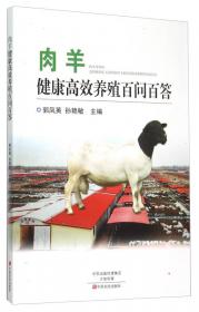 汉语新闻报刊阅读教程