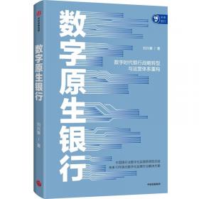 数字营销分析：消费者数据背后的秘密（原书第2版）