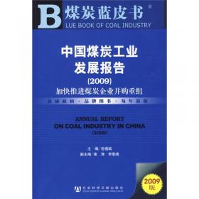 煤炭价格与煤炭经济可持续发展