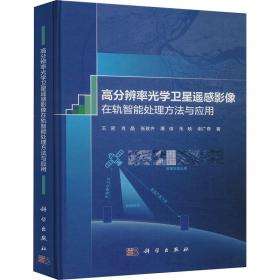 高分辩率地震勘探理论与实践